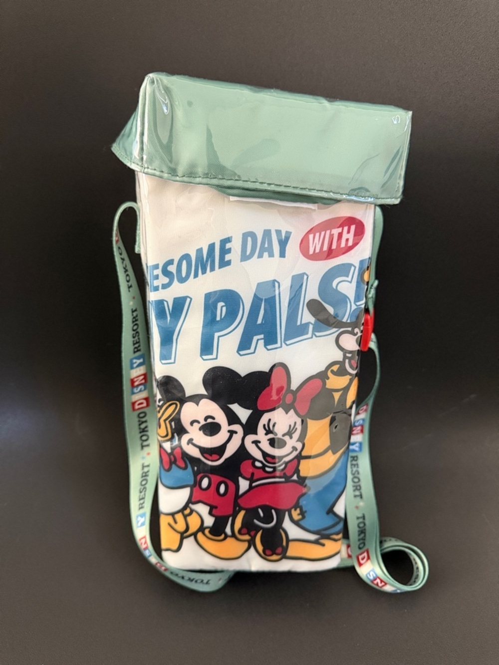 Tokyo Disney Disney popcorn bag